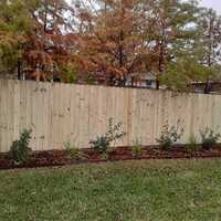 Fence and landscaping project